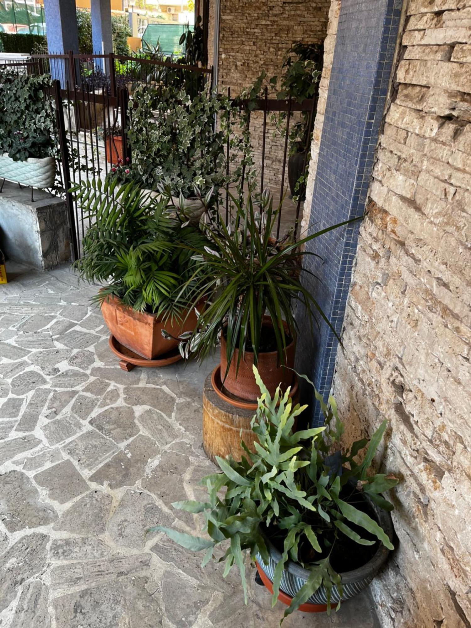 Casetta Romana מראה חיצוני תמונה
